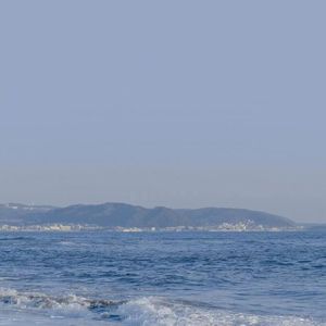 白上咲花中文无码一区
